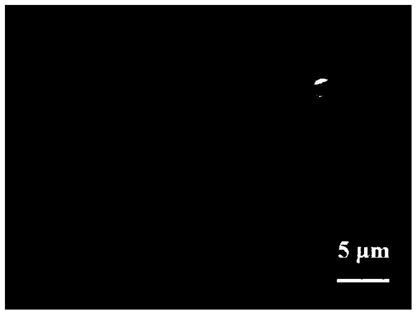 Iron oxide/carbon composite lithium ion battery anode material as well as preparation method and application thereof