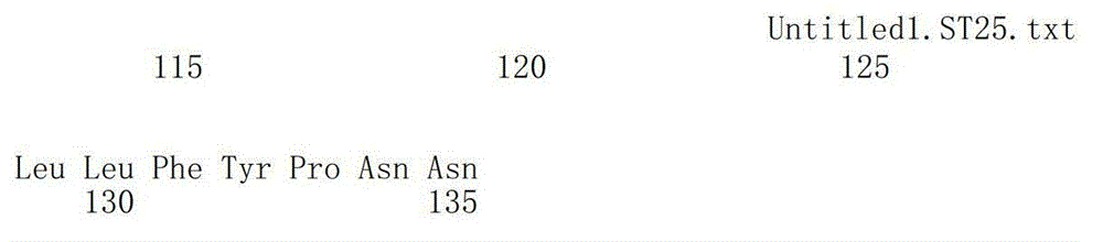 Fish natural killer (NK)-lysin effective factors and application method thereof