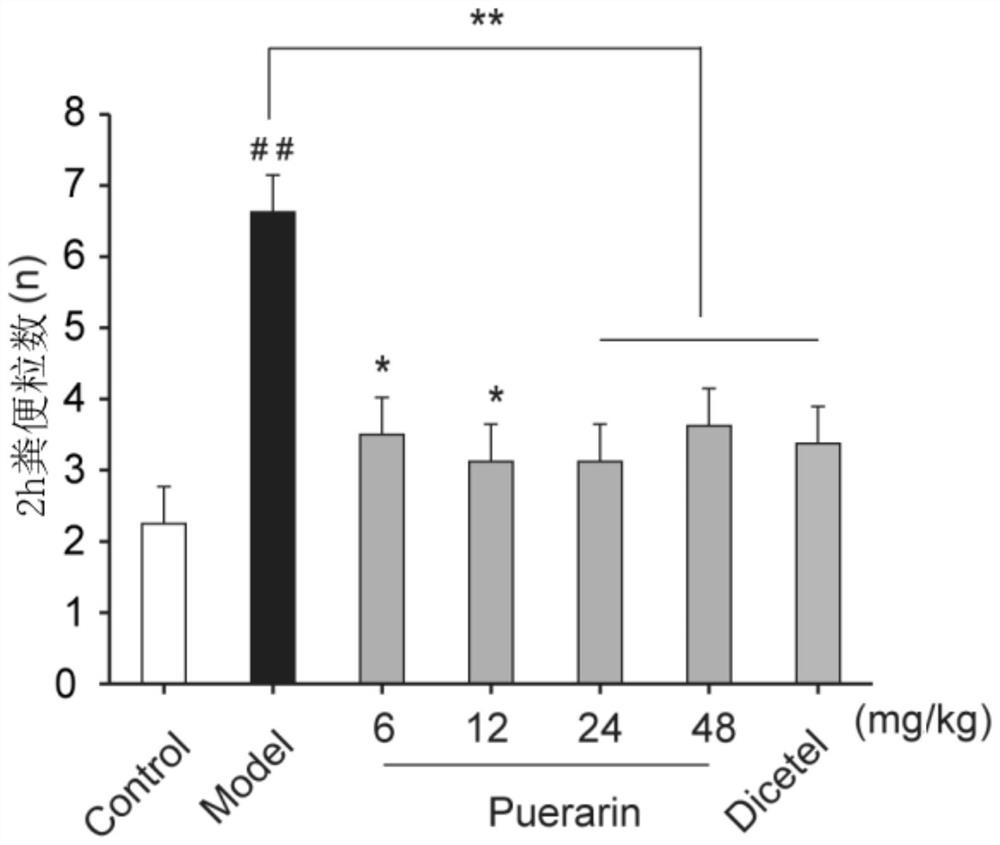 Application of puerarin in preparation of medicines for preventing and/or treating irritable bowel syndrome