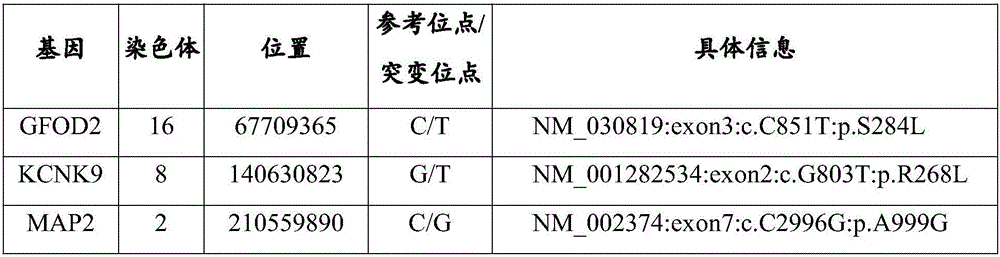 Breast cancer prognosis related gene mutation test kit and use method thereof