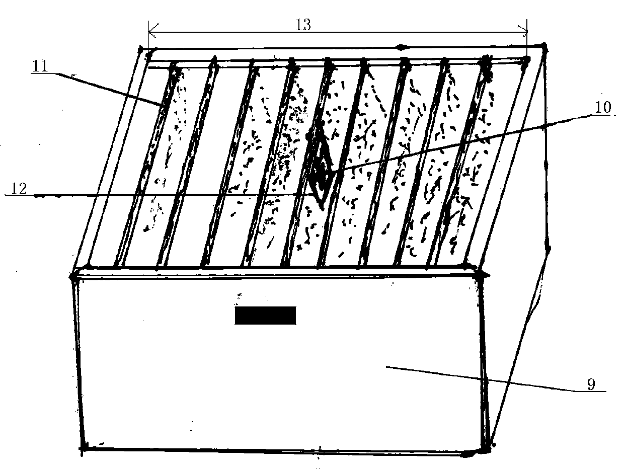 Method for improving productivity of Apis cerana cerana by organizing strong colonies through mode of putting three queen bees in the same beehive