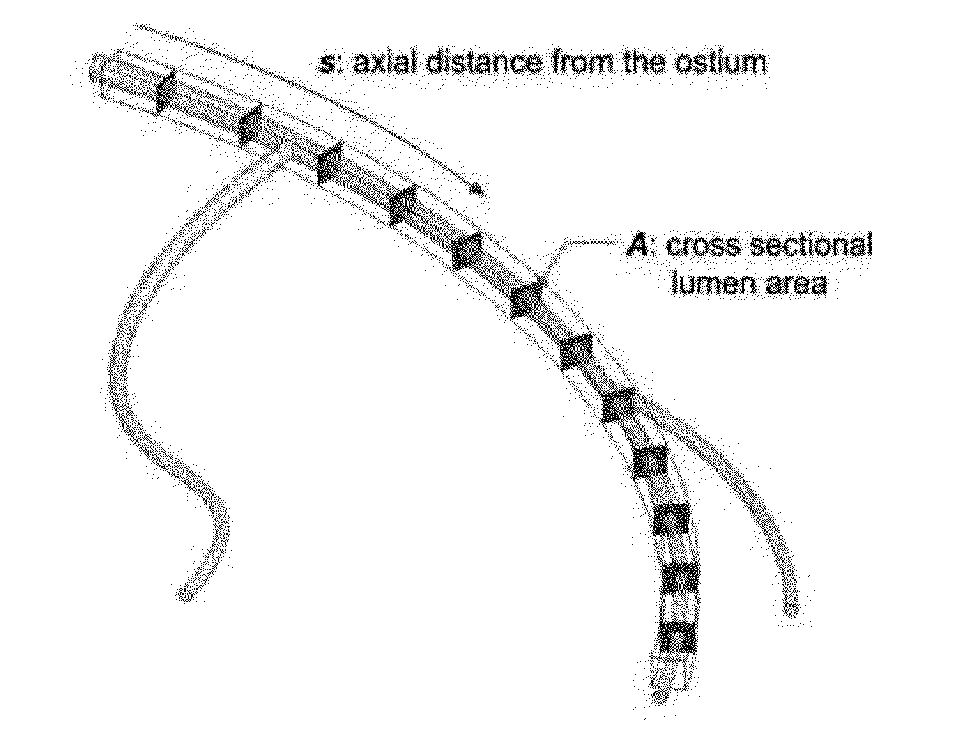 Method for Estimating Flow Rates and Pressure Gradients in Arterial Networks from Patient Specific Computed Tomography Angiogram-Based Contrast Distribution Data