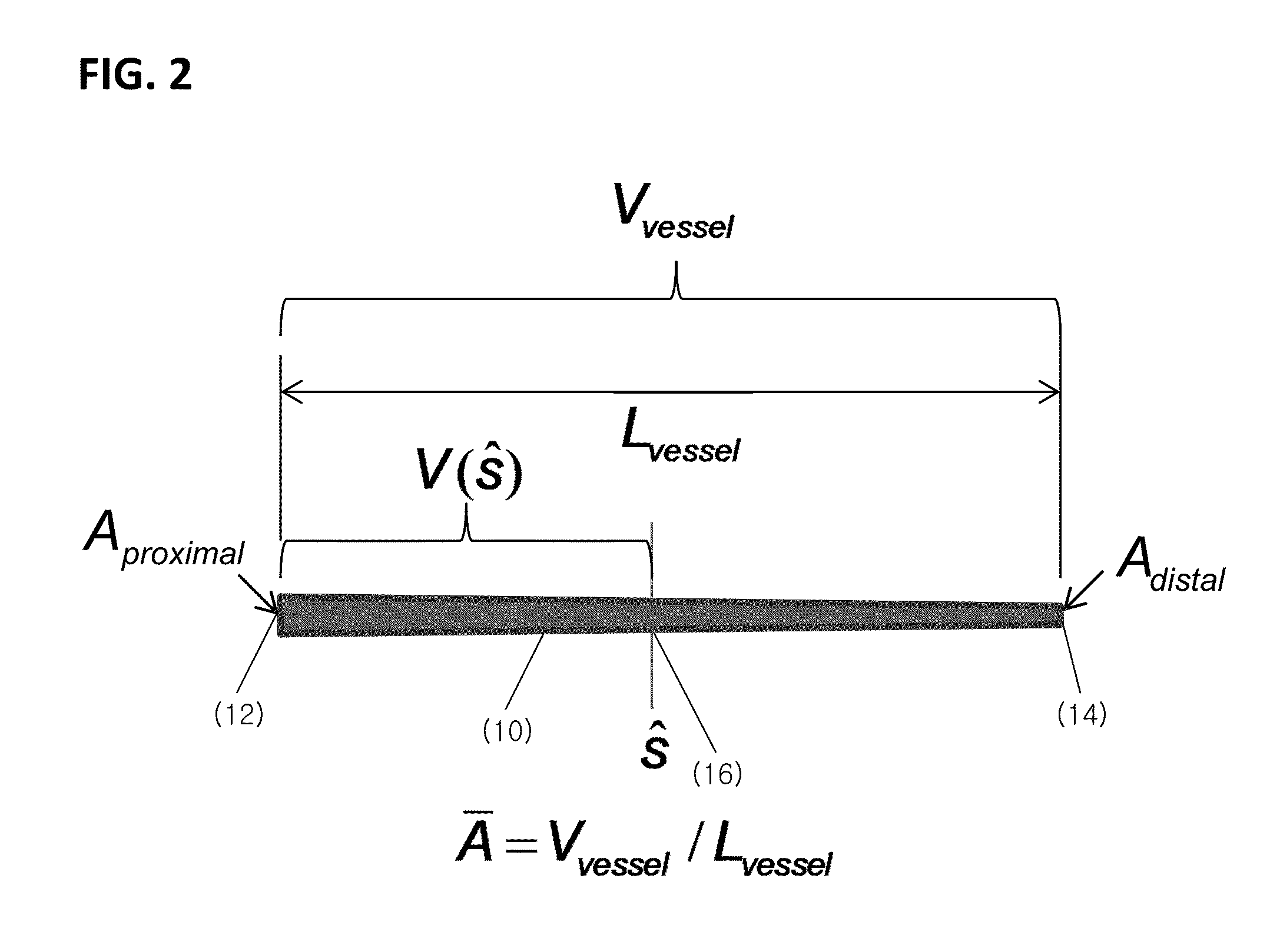 Method for Estimating Flow Rates and Pressure Gradients in Arterial Networks from Patient Specific Computed Tomography Angiogram-Based Contrast Distribution Data