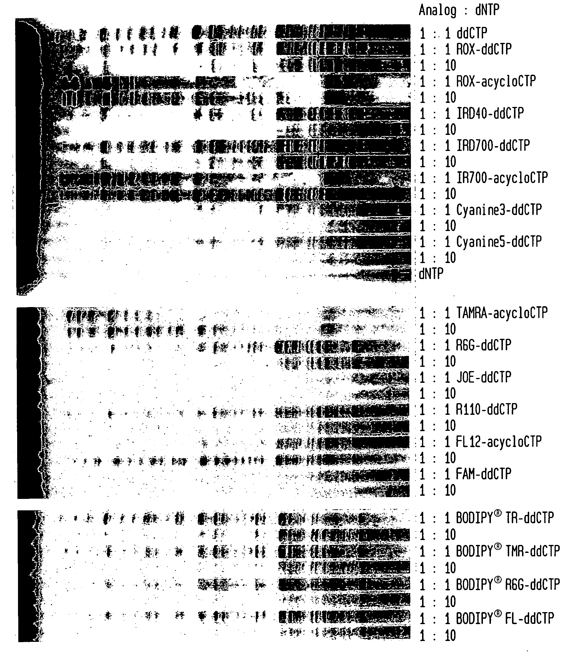 Incorporation of modified nucleotides by archaeon DNA polymerases and related methods