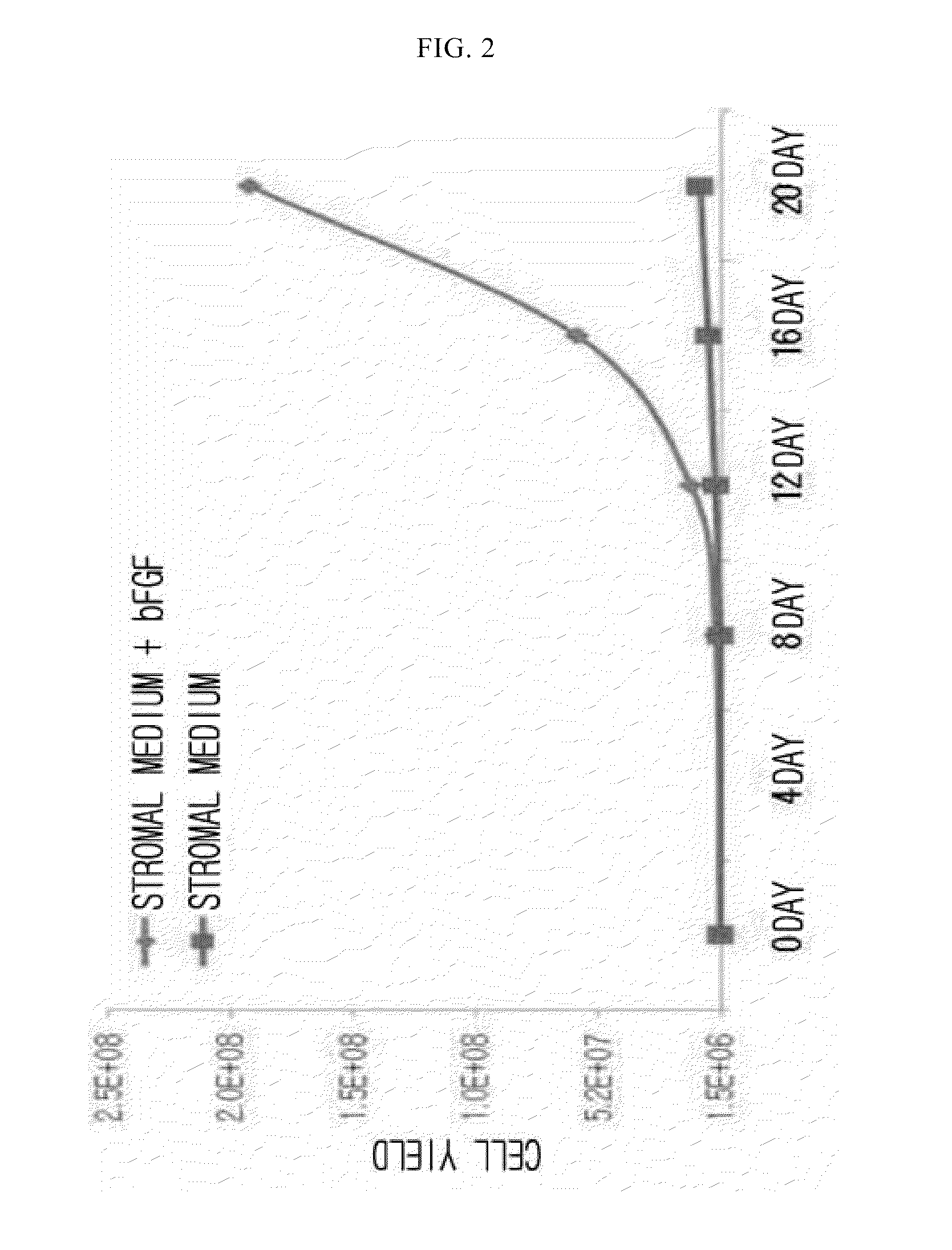 Autologous and allogenic adipose-derived stromal stem cell composition for treating fistulas