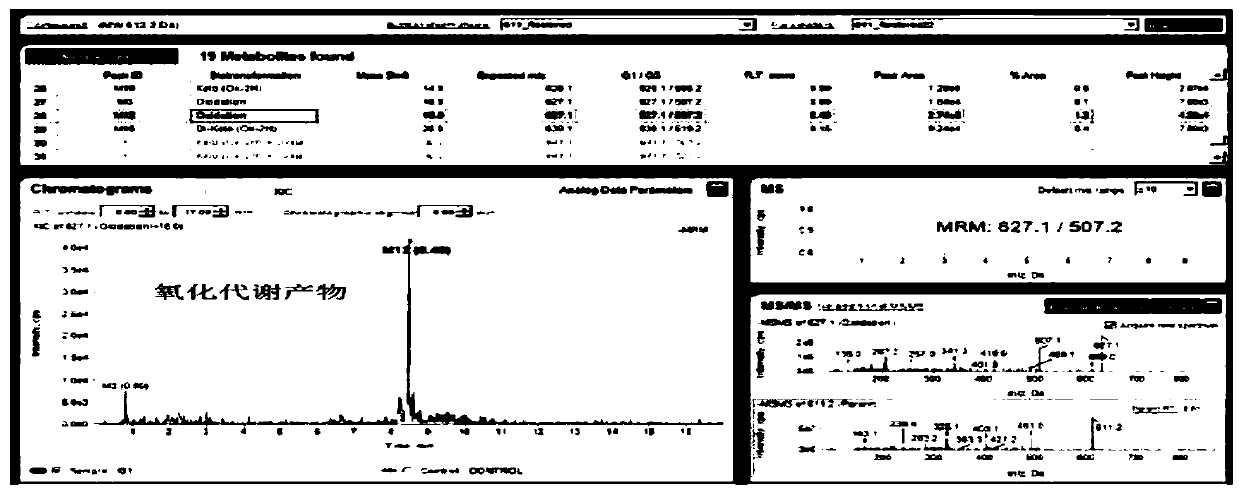 A kind of detection method of hydroxysafflower yellow a metabolite product