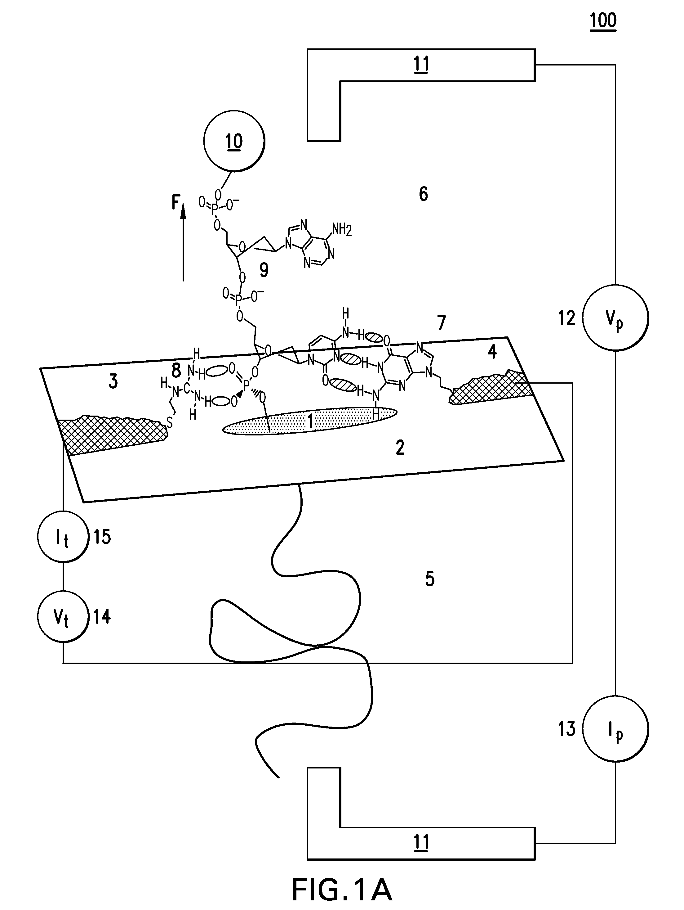 Devices and Methods for Target Molecule Characterization