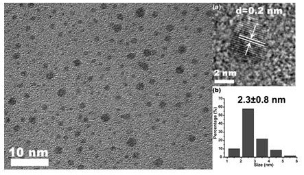 Method for preparing fluorescent carbon quantum dots based on metformin as precursor