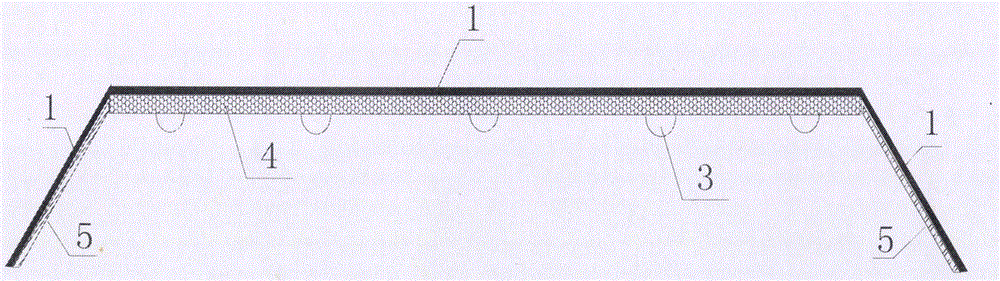 Nanometer multifunctional composite paint