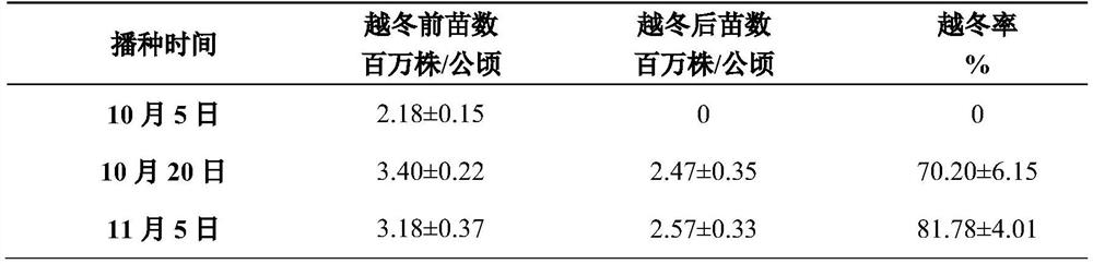 Planting mode of'winter oat grass + summer corn 'in Huang-Huai-Hai region