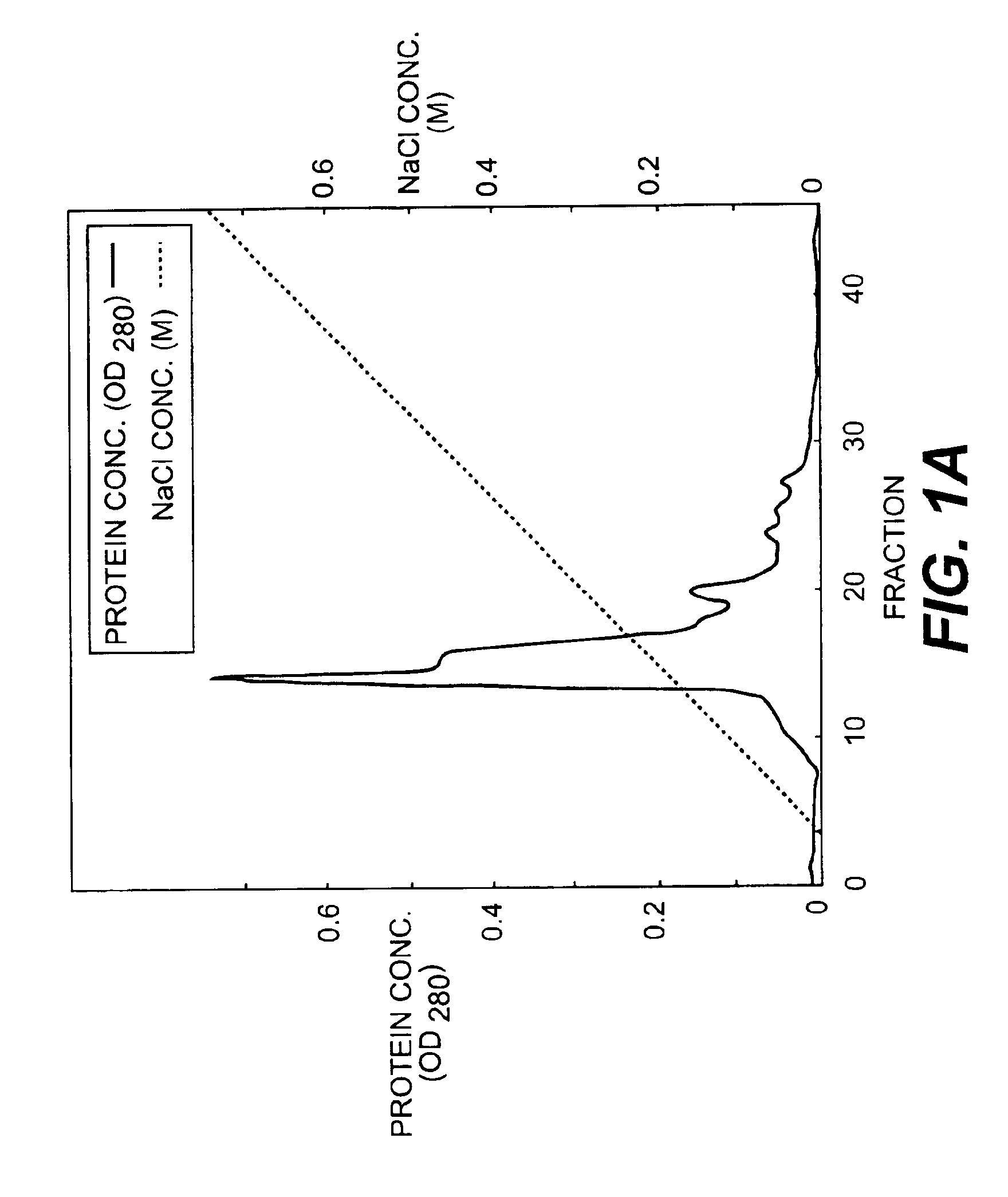 Monoclonal antibodies that bind OCIF