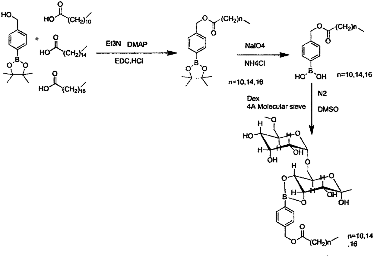 Glucan polymer, polymer micelle and medicine carrier system