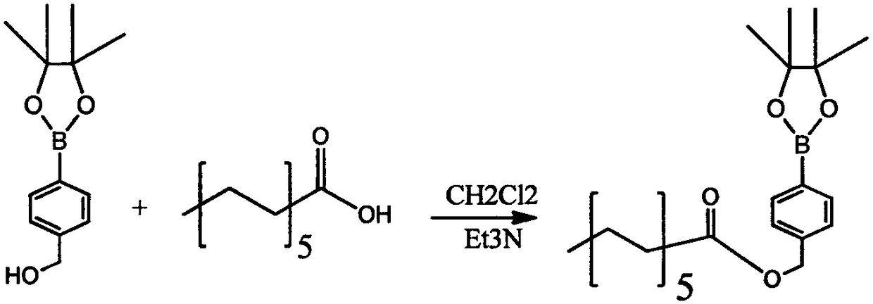 Glucan polymer, polymer micelle and medicine carrier system