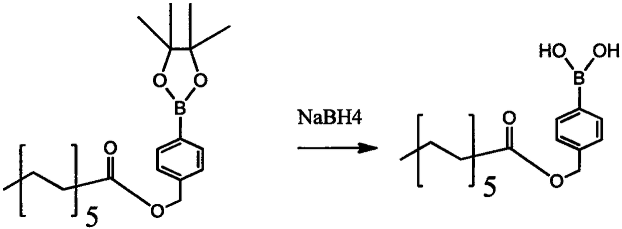 Glucan polymer, polymer micelle and medicine carrier system