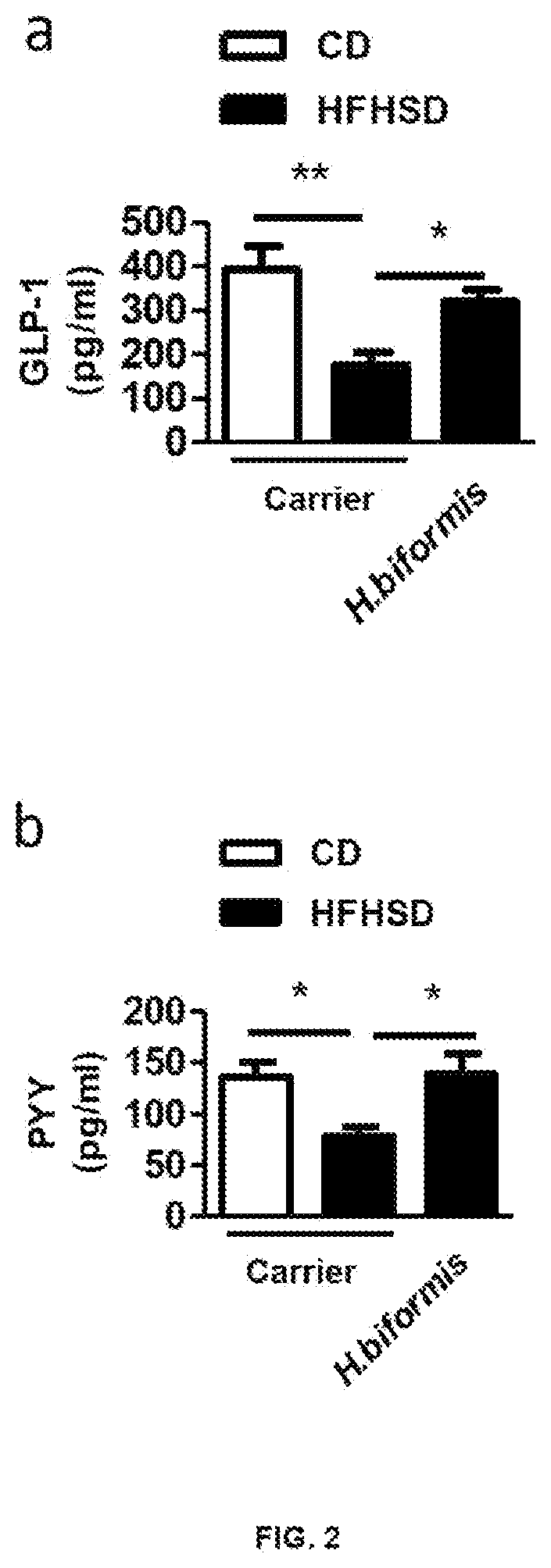 Holdermanella sp. bacterium and use thereof