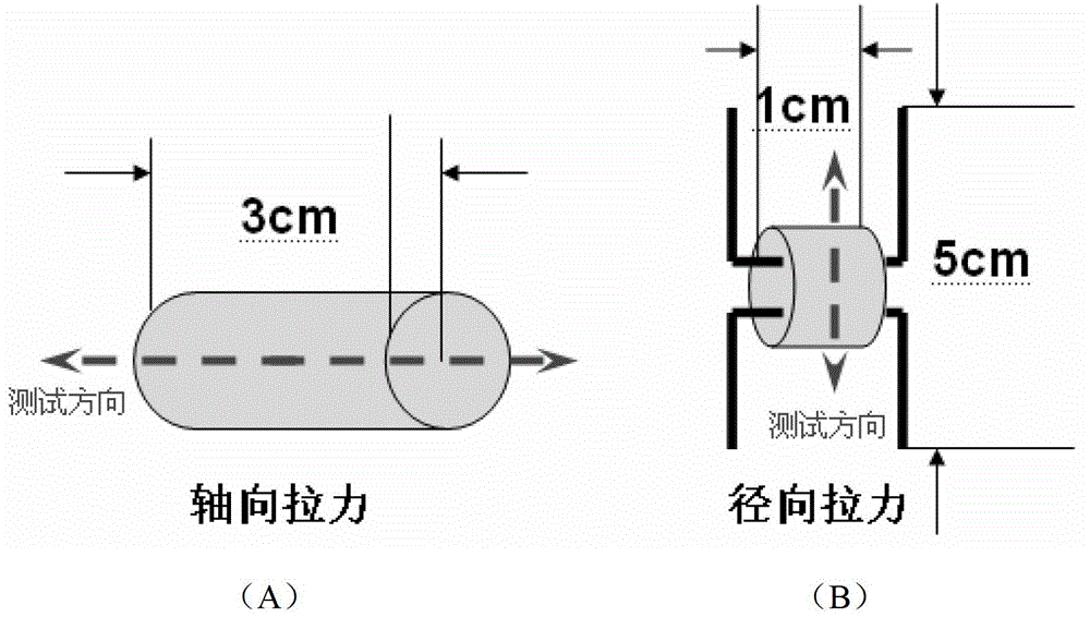 Method of dynamically preparing special-shaped cavity bacterial cellulose (BC) materials