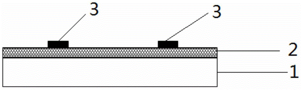 Display device, array substrate, thin film transistor and fabricating method thereof