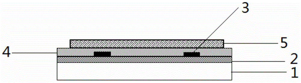 Display device, array substrate, thin film transistor and fabricating method thereof