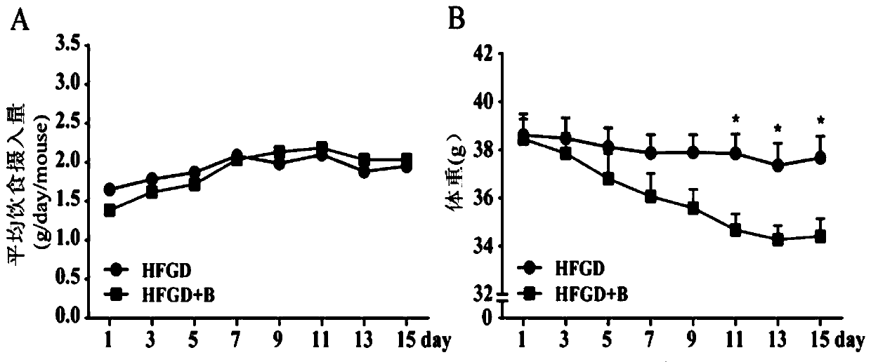 A kind of medicine for preventing and treating fatty liver and obesity and its application in pharmacy