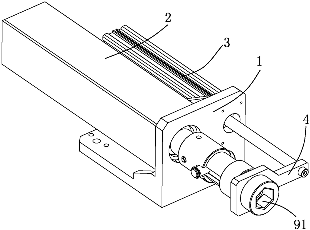 Garden bush seed sowing device