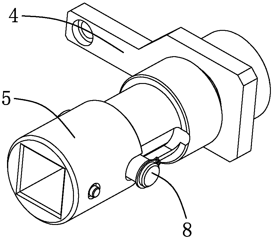 Garden bush seed sowing device