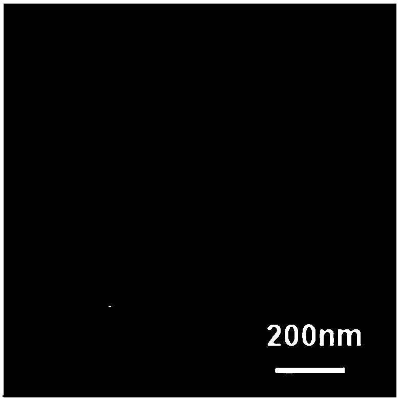 Method for preparing nanometer Ni-Fe alloy by adopting quaternary ionic liquid microemulsion