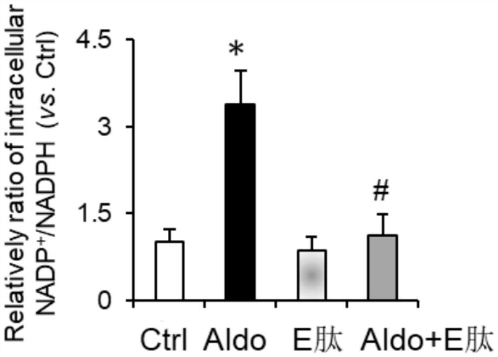 Application of Elabela polypeptide in preparation of antioxidant products