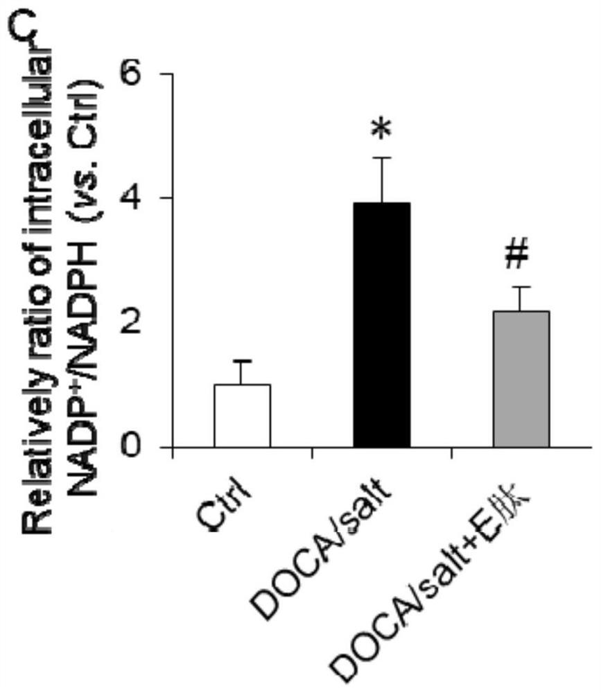 Application of Elabela polypeptide in preparation of antioxidant products