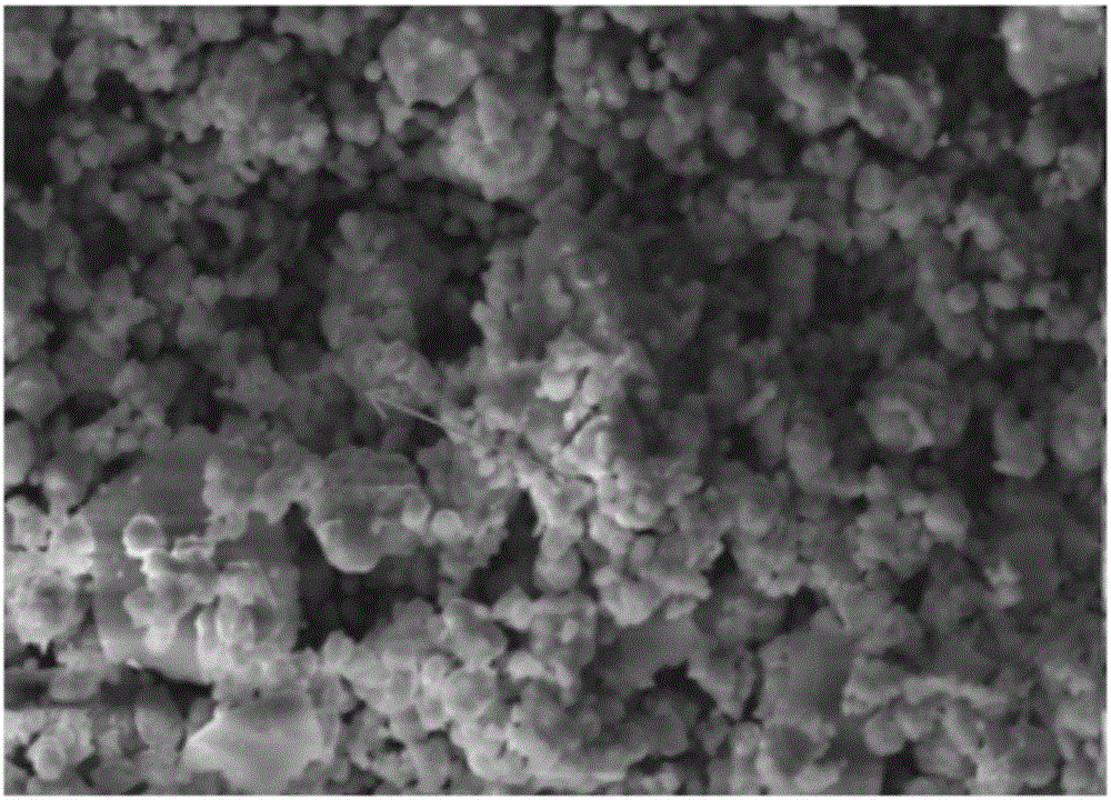 Preparation method of MCM-41 mesoporous molecular sieve with mixed doping of Bi-La-Mo-Sr