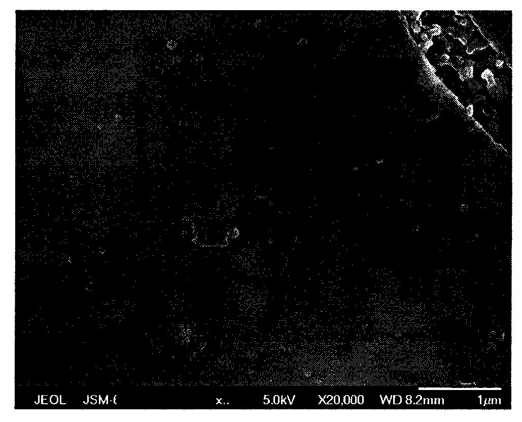 Voriconazole nano-micro composite powder and preparation method thereof