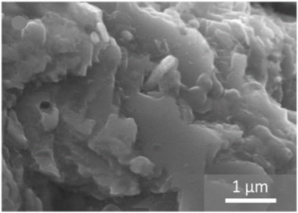 Nucleic acid corrosion inhibitor and application thereof