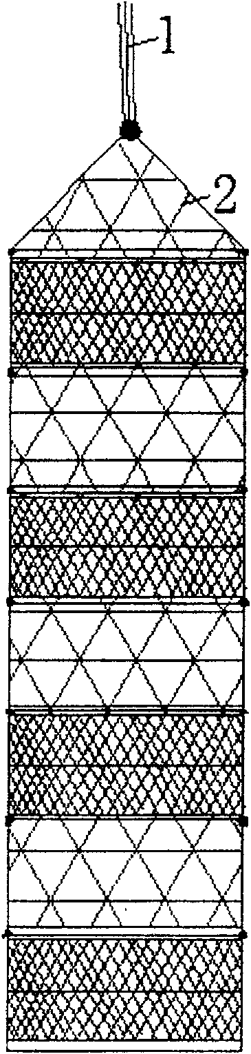 A shallow sea seashell breeding apparatus with reuse of feces