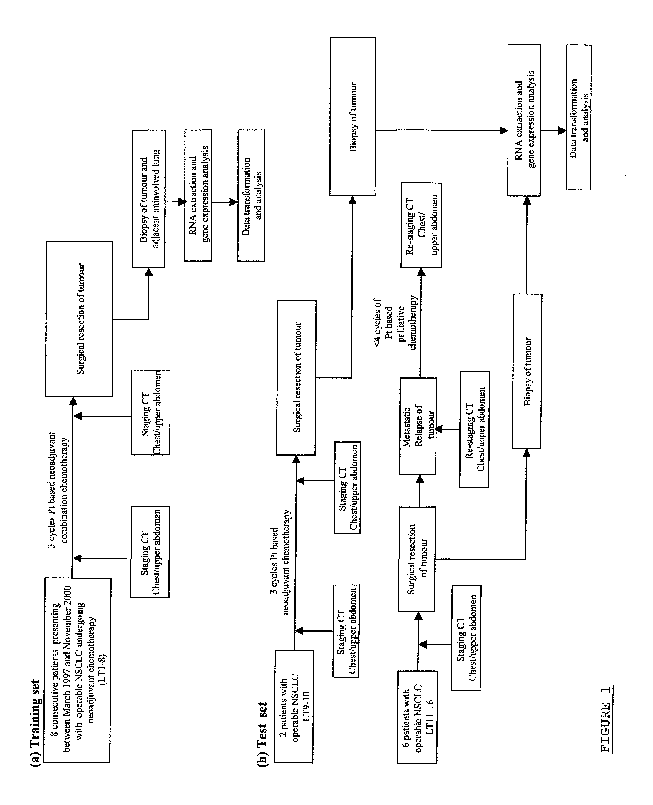 Cancer therapy prognosis and target