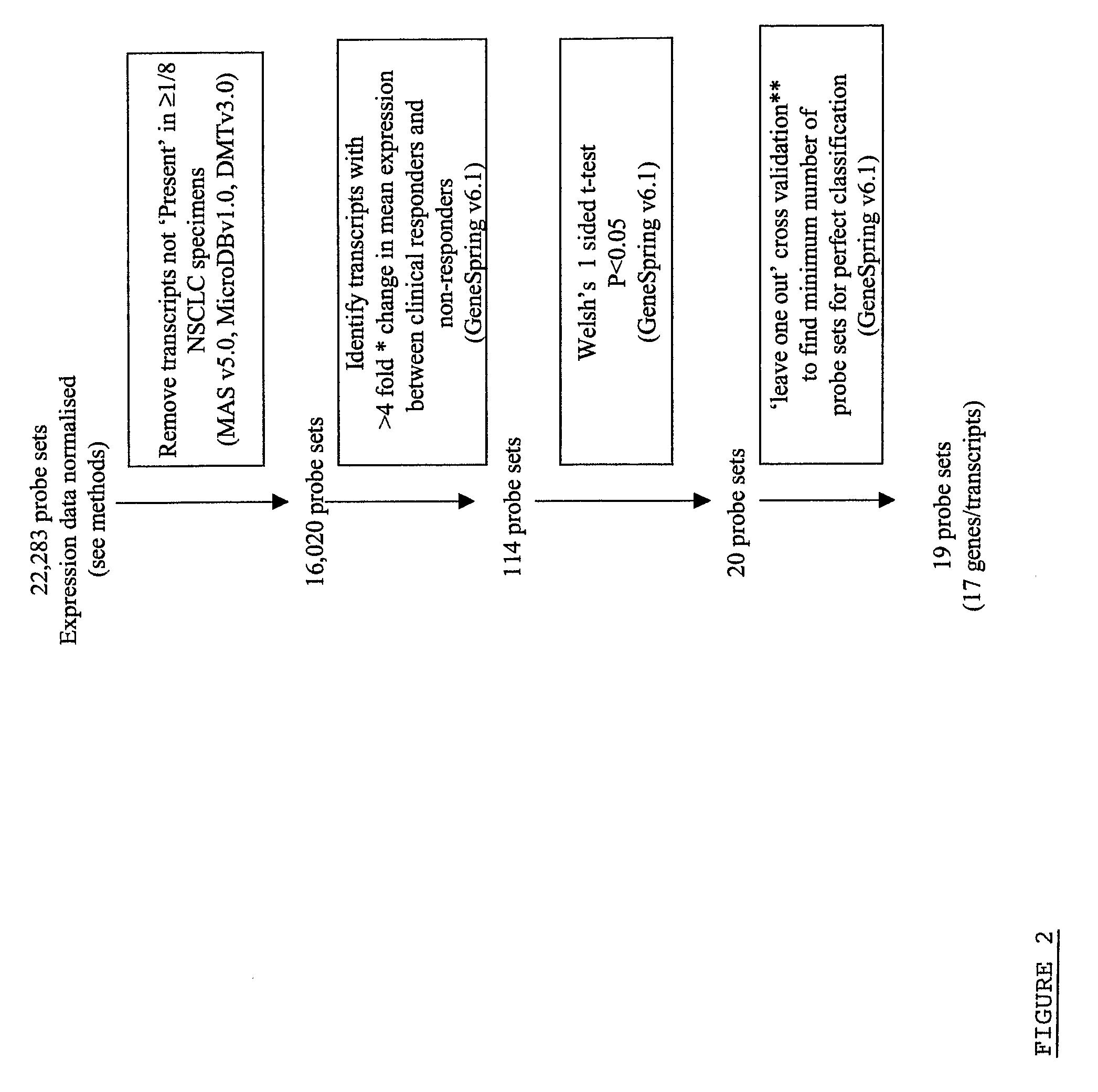 Cancer therapy prognosis and target