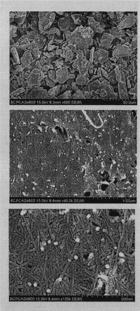 Sulfur doped titanate nanotube visible light catalyst material and its preparation method