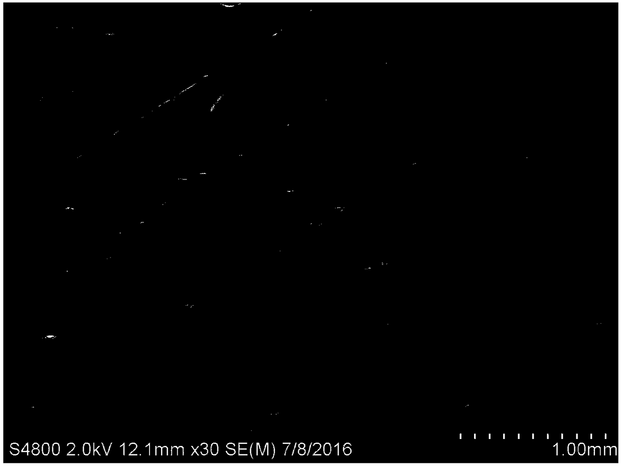 Bionic spider silk-like polymer fiber with water collecting characteristic and preparation method thereof