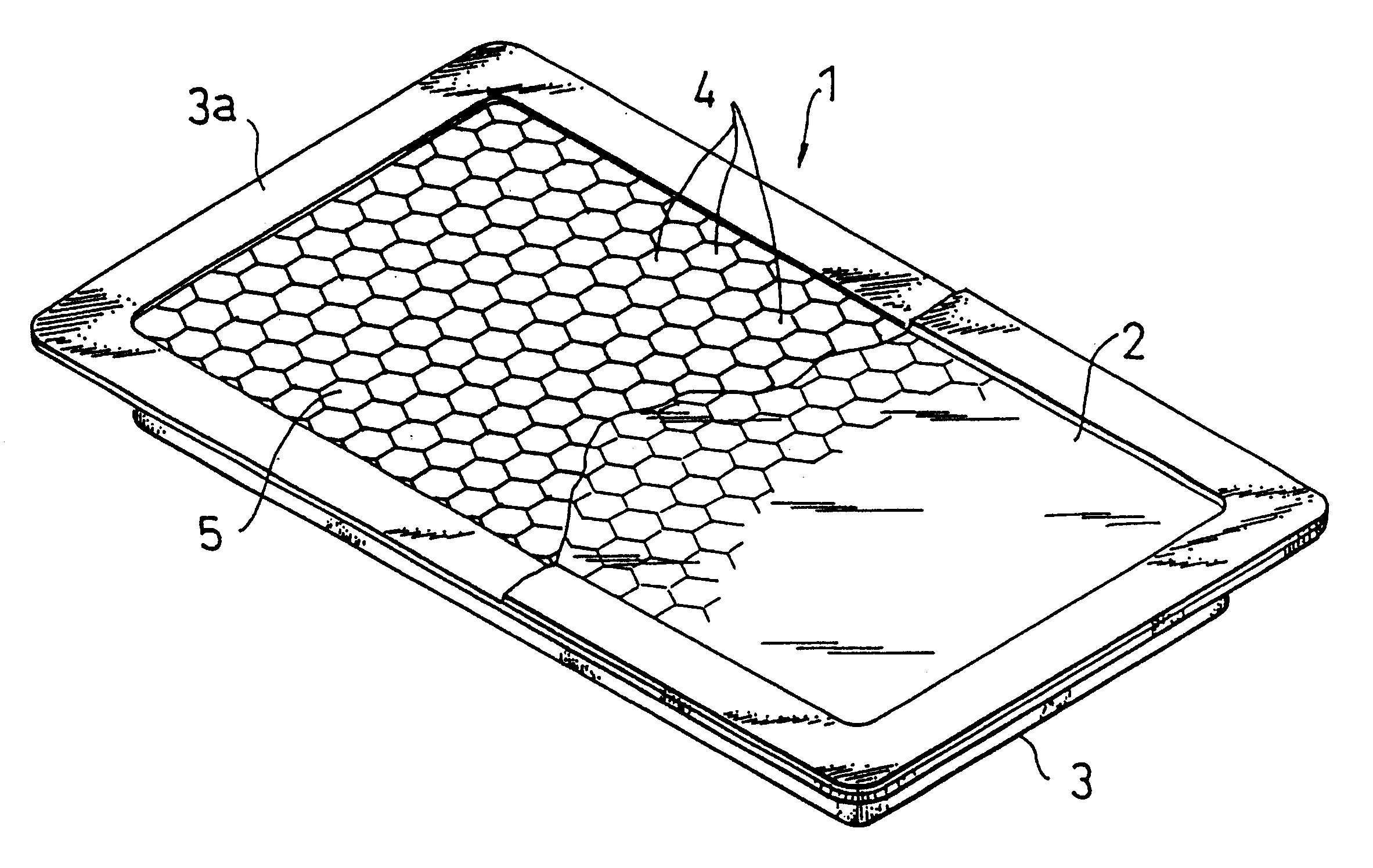 Magnetic display panel and method for producing the same