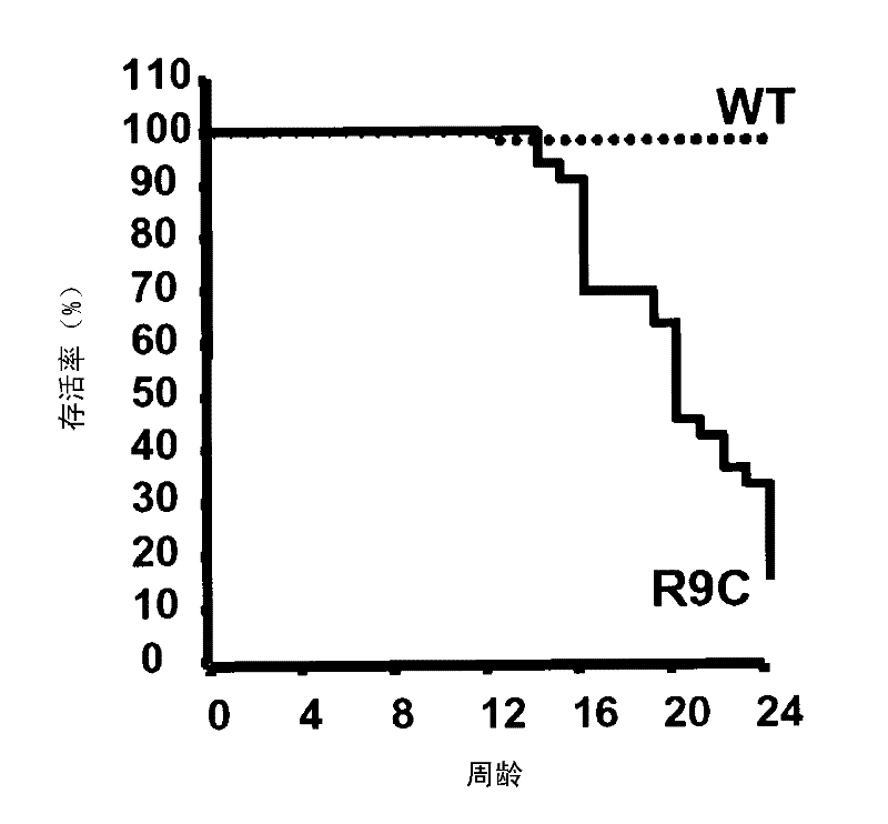 Use of biglycan in the assessment of heart failure