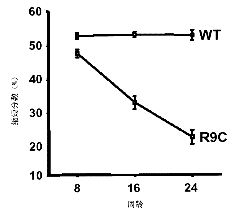 Use of biglycan in the assessment of heart failure