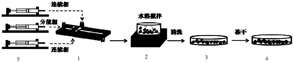 One-step Synthesis of Polyethyleneimine-Chitosan Adsorbent