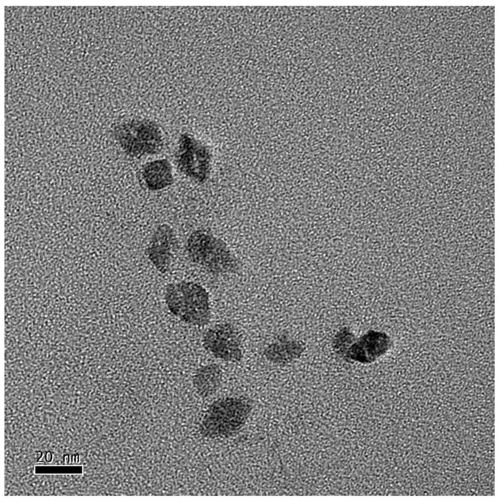 A nano-therapeutic material that crosses the blood-brain barrier and targets orthotopic glioma and its preparation method