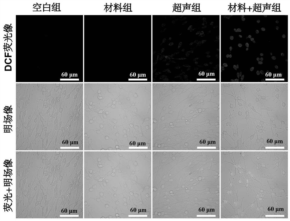 A nano-therapeutic material that crosses the blood-brain barrier and targets orthotopic glioma and its preparation method