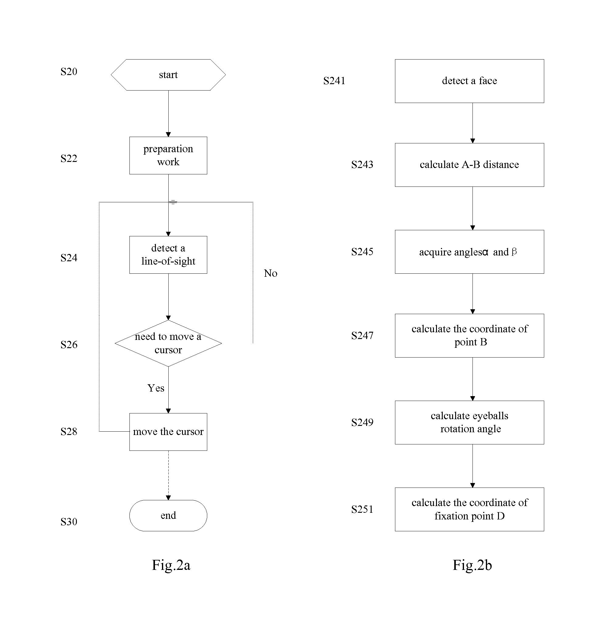 Method and apparatus for detecting a fixation point based on face detection and image measurement