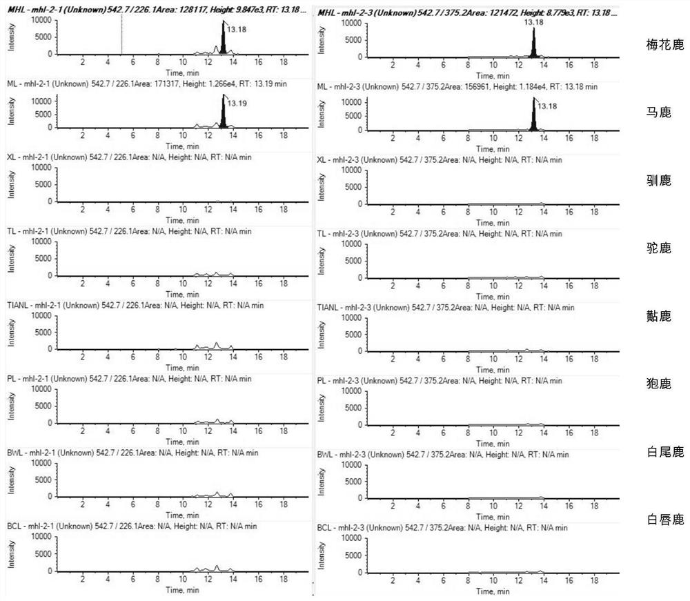 Marker polypeptide for identifying pilose antler and antler of sika deer or red deer and application thereof