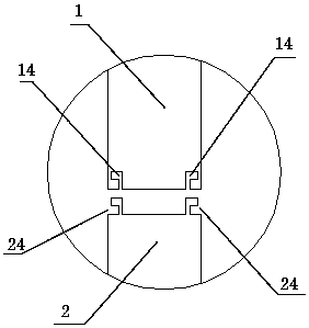 Separating and flowing type spirulina sterilizing device