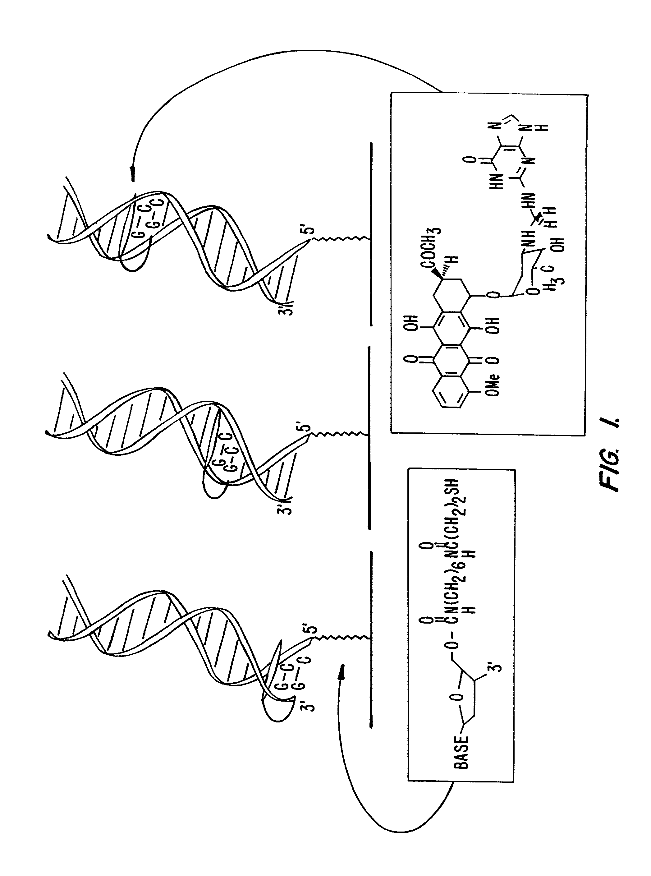 Electrochemical sensor using intercalative, redox-active moieties