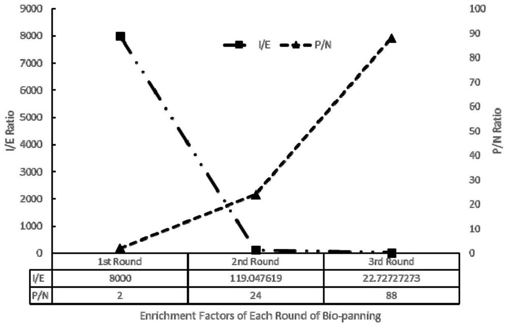 Single-domain antibodies, products and applications specific to the zinc ion-binding domain of mmp-9 protein