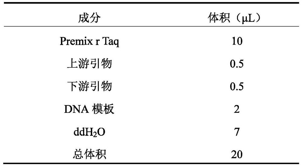 ELISA kit for detecting salmonella antibody, detection method and application thereof