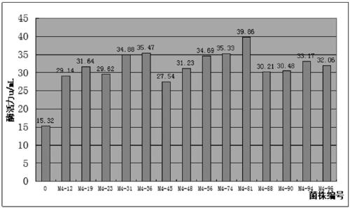 Method for producing high-activity beta-galactosidase bacillus circulans strain and breeding method of strain