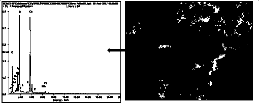 A method of using steam pressurized concrete block to prepare water body defluoridation material